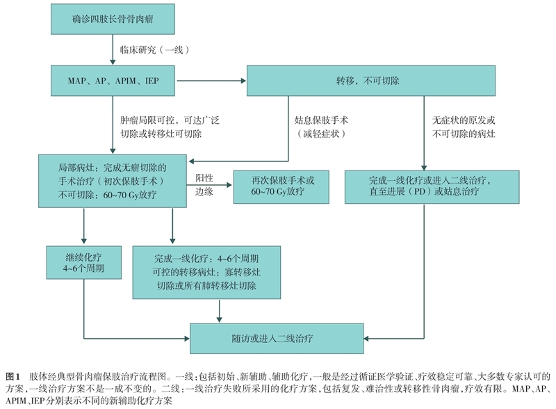 四肢骨肉瘤保肢治疗指南
