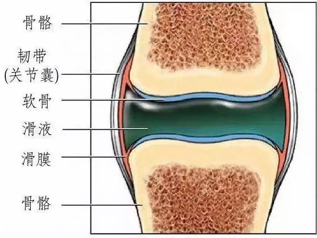 关节响的烦恼……