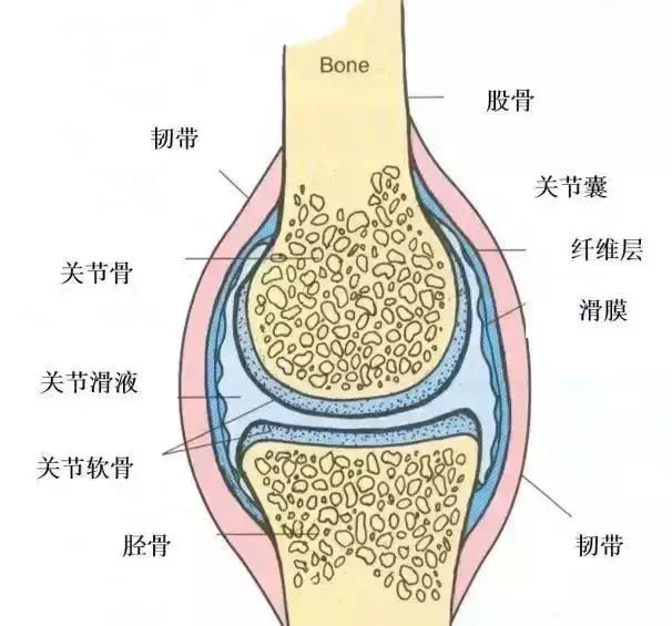 滑膜炎康复训练，90%的人都犯过这些误区！