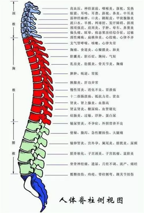 脊椎问题，你想知道的这里都有！