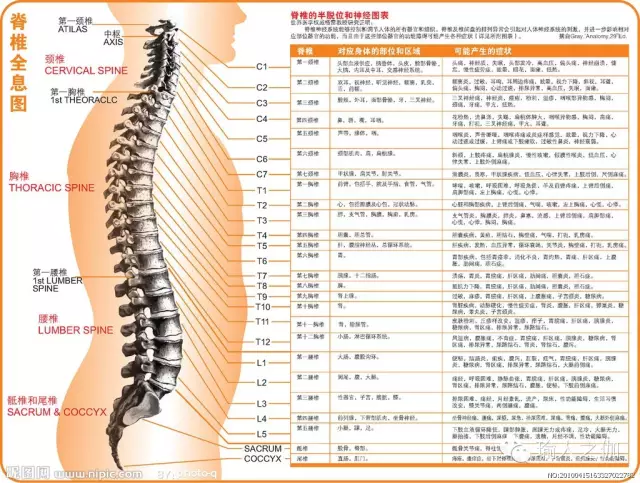 你身体的莫名疼痛，十有八九都来自于脊柱问题