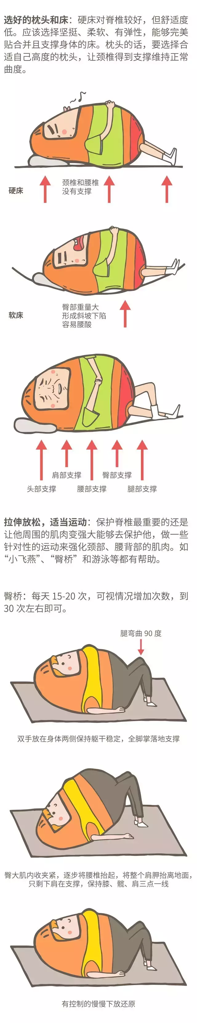 健康科普丨现代人是如何一步步搞垮自己的脊椎的