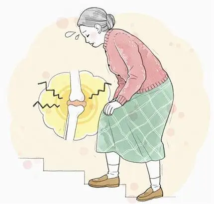 给膝关节加“润滑油”究竟是怎么一回事？