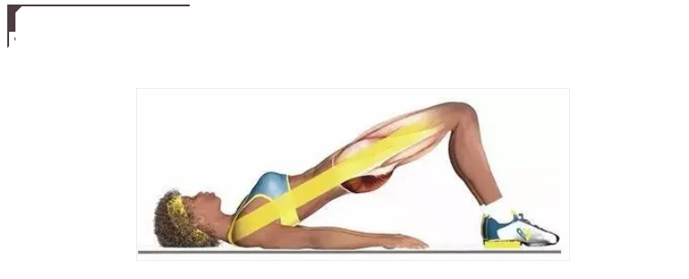 大腹便便引起的腰疼？其实是下交叉综合症在作怪