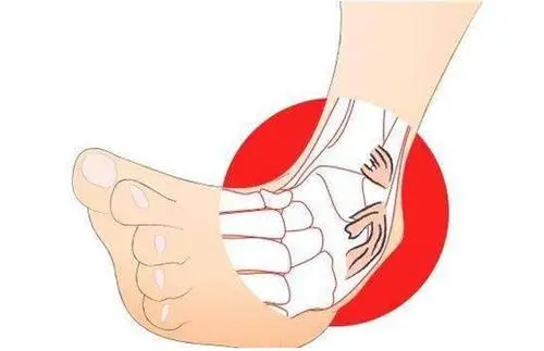 66921f11309f8852dc8c6fddf34031e5.jpg 图片